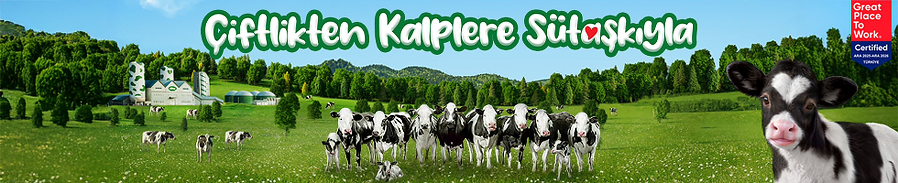 Çiftlikten Kalplere Sütaşkıyla